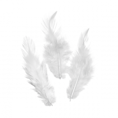 Loisirs créatif -  plumes de COQ - Blanc -  16 pièces